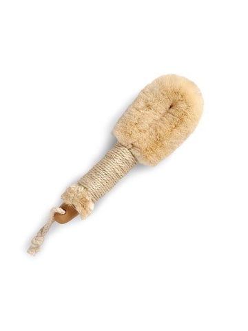 DRY BODY BRUSH